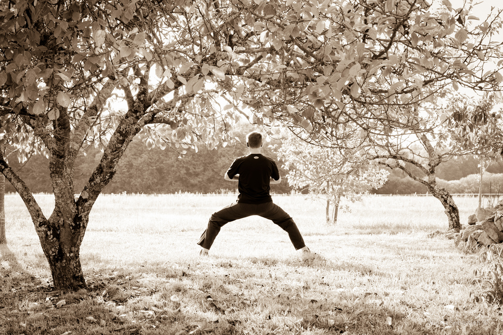 4 Things Martial Arts Will Teach You